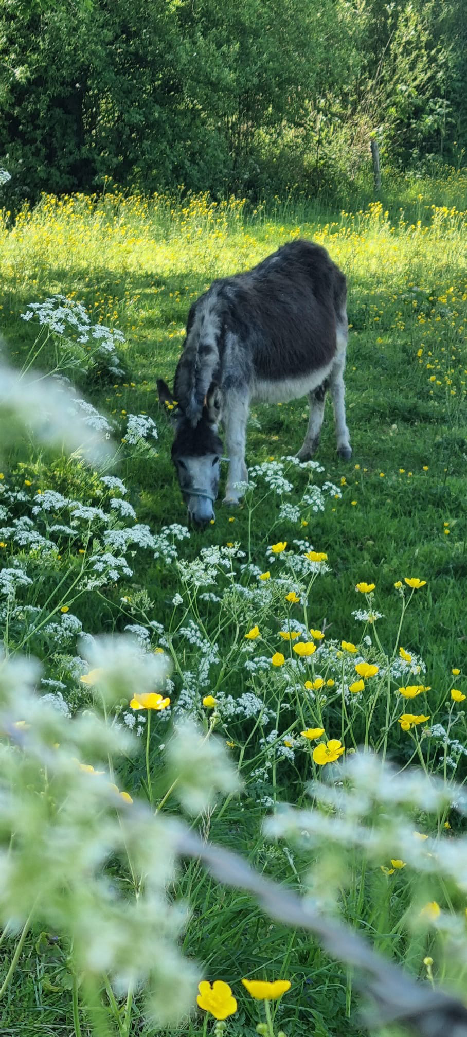 Klooster Retraite Soeterbeeck - Afbeelding 13
